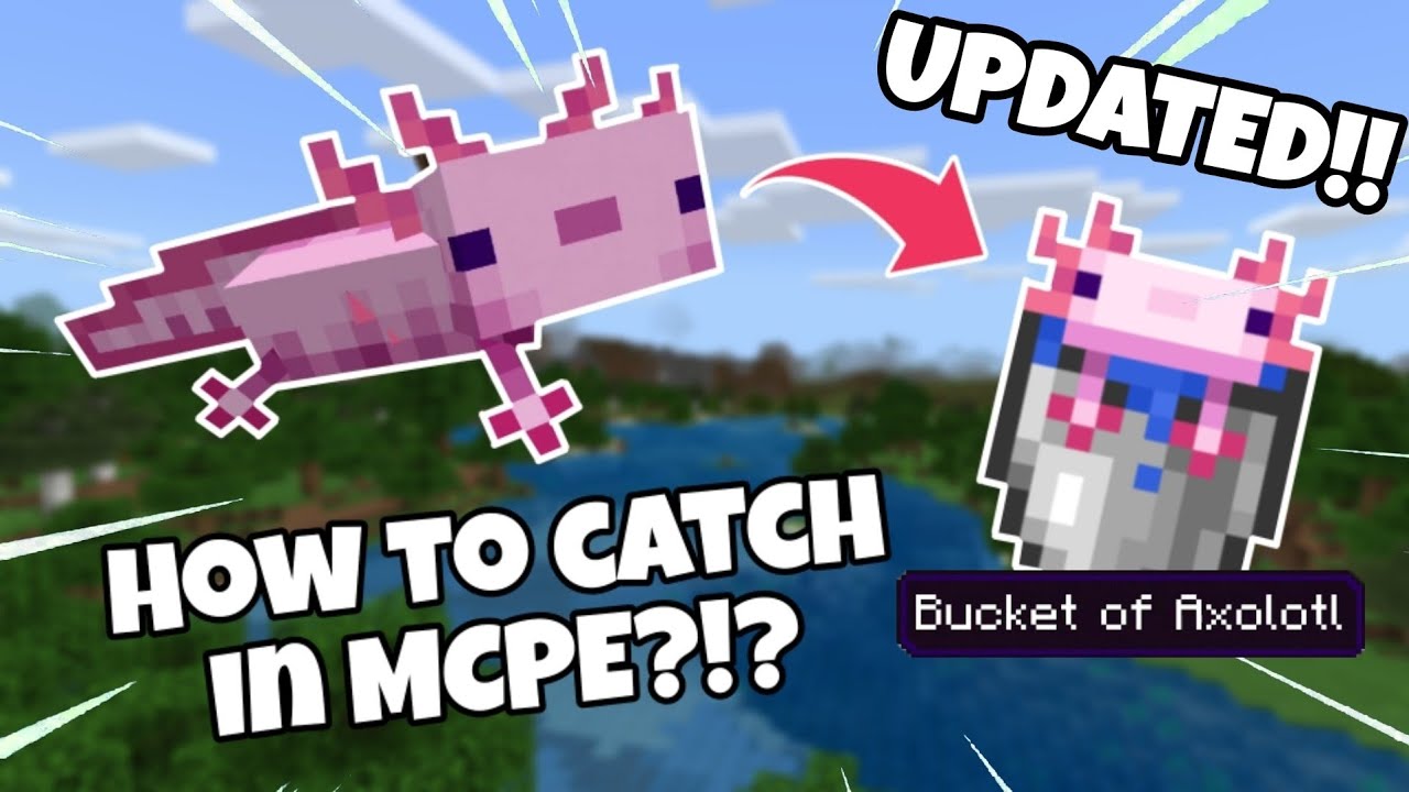 How to catch axolotls in Minecraft pocket edition [ UPDATED ] | MCPE Tutorial