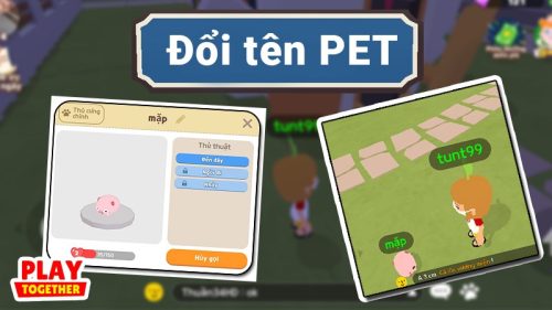 Cách đổi tên và dắt Pet đi dạo trong Play together đơn giản